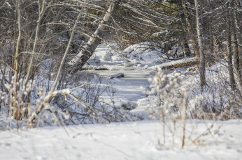 Картинка природа зима простор