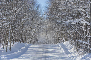 Картинка природа зима простор