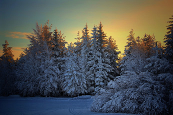 Картинка природа зима простор