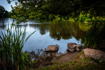 Картинка природа реки озера простор