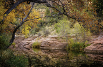 Картинка природа реки озера простор