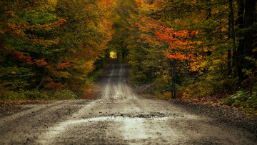 Картинка природа дороги простор