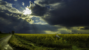 Картинка природа пейзажи простор