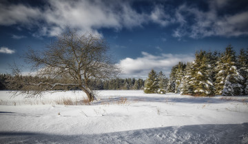 Картинка природа зима простор