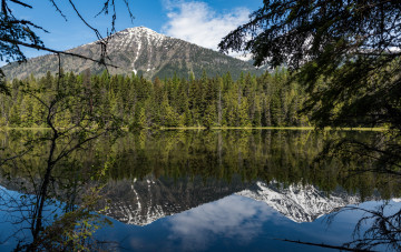 Картинка природа реки озера простор