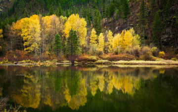 Картинка природа реки озера простор