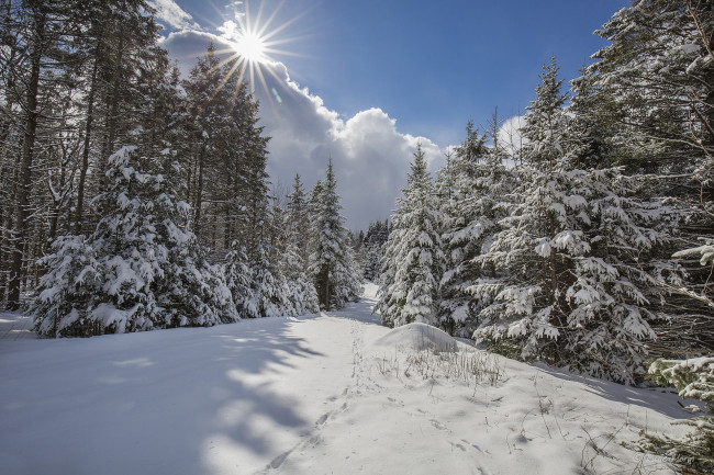 Обои картинки фото природа, зима, простор