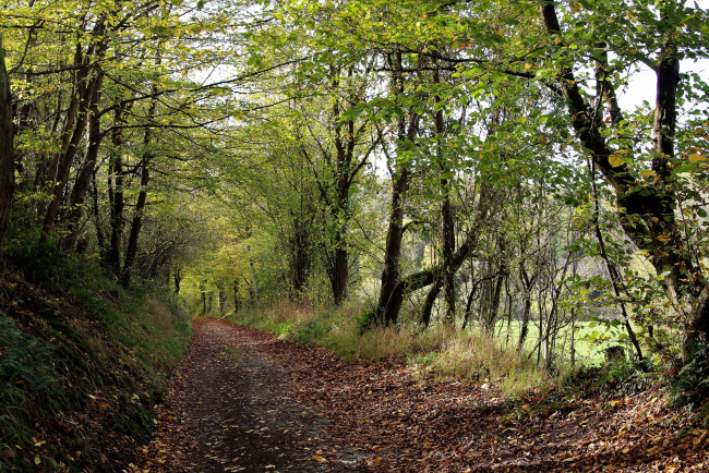 Обои картинки фото природа, дороги, простор