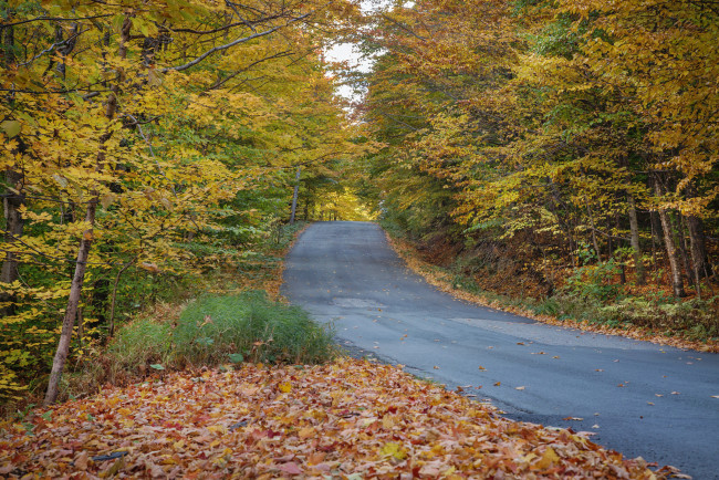 Обои картинки фото природа, дороги, простор