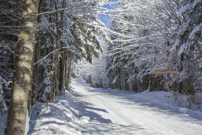 Обои картинки фото природа, зима, простор