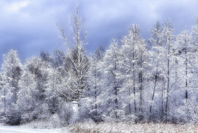 Обои картинки фото природа, зима, простор