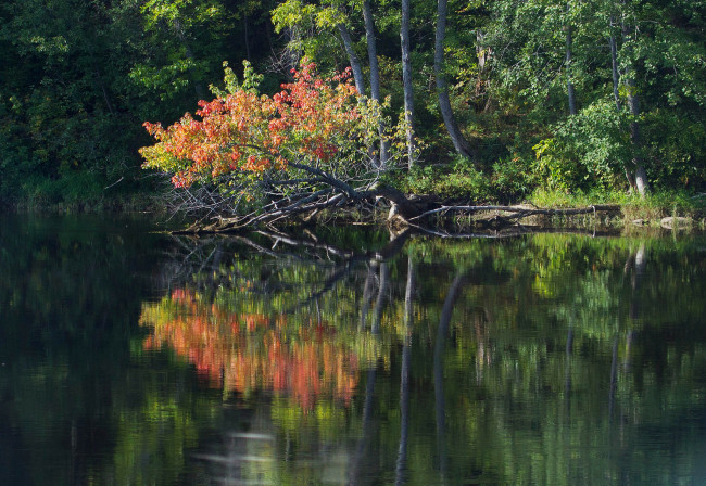 Обои картинки фото природа, реки, озера, простор