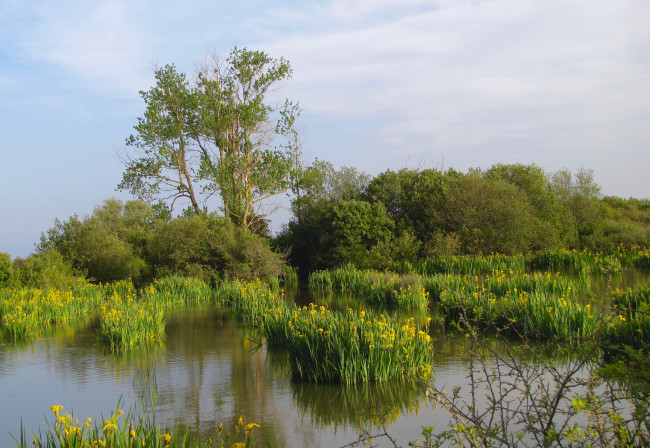 Обои картинки фото природа, реки, озера, простор