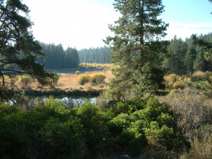 Картинка природа