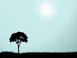 Картинка векторная графика