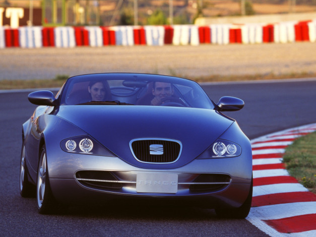 Обои картинки фото автомобили, seat