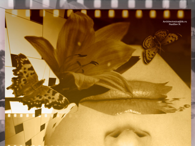 Обои картинки фото разное