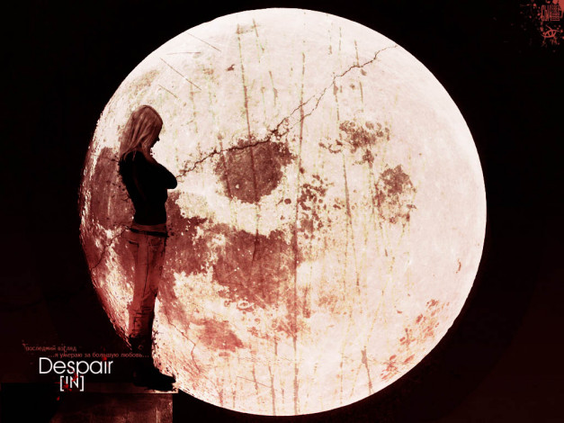 Обои картинки фото разное