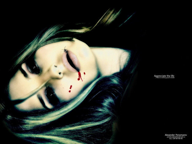 Обои картинки фото разное