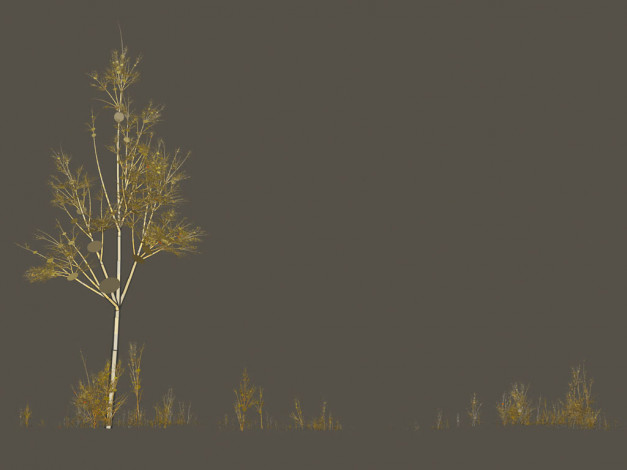 Обои картинки фото векторная, графика