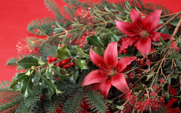 обоя цветы, разные, вместе