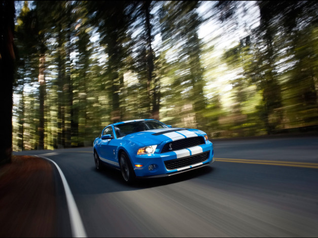 Обои картинки фото 2010, ford, shelby, gt500, автомобили