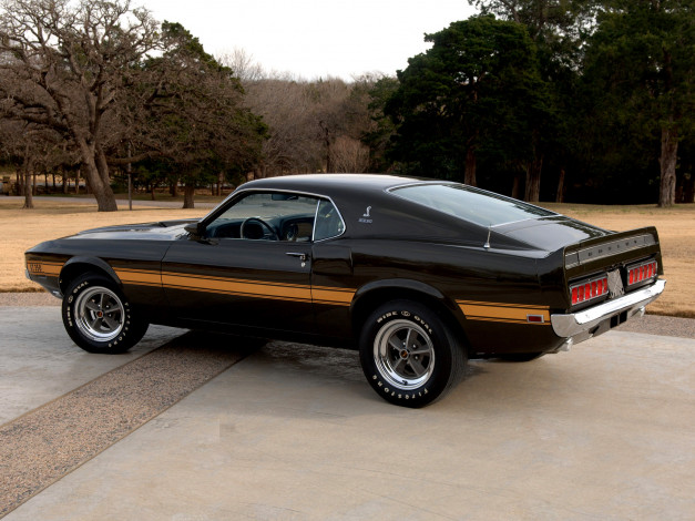 Обои картинки фото автомобили, ford