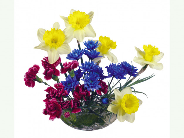 Обои картинки фото цветы, букеты, композиции