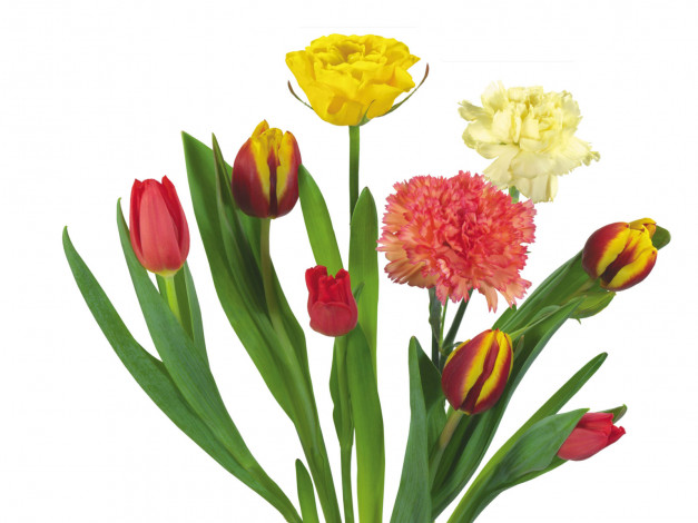 Обои картинки фото цветы, букеты, композиции