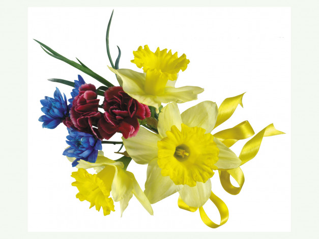 Обои картинки фото цветы, букеты, композиции
