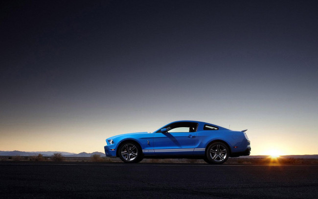 Обои картинки фото 2010, ford, shelby, gt500, автомобили, mustang