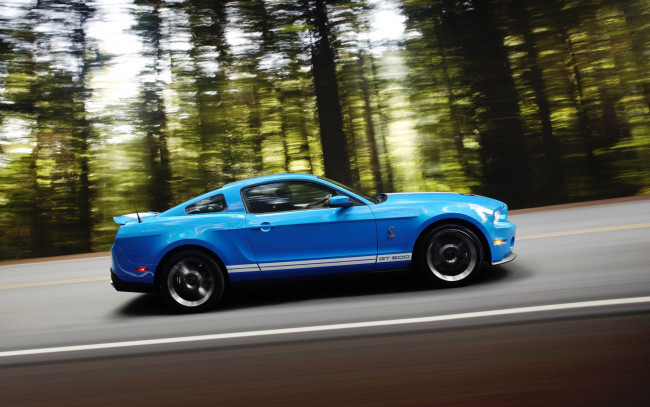 Обои картинки фото 2010, ford, shelby, gt500, автомобили, mustang