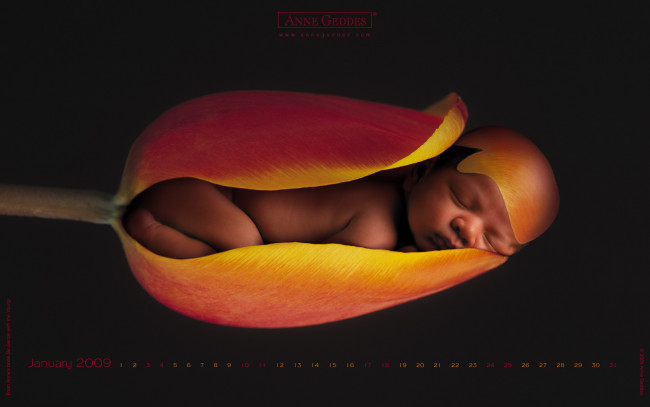 Обои картинки фото календари, дети