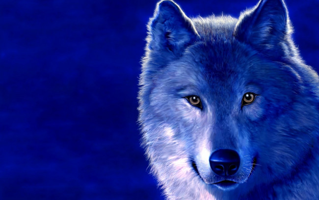 Обои картинки фото рисованные, животные, волки