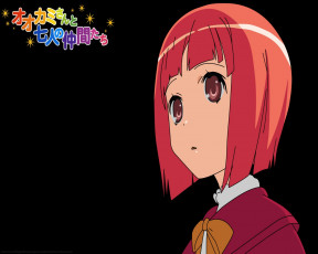 Картинка аниме ookami san to shichinin no nakama tachi