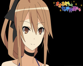 Картинка аниме ookami san to shichinin no nakama tachi