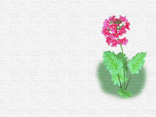 Картинка рисованные цветы