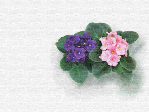 Картинка рисованные цветы