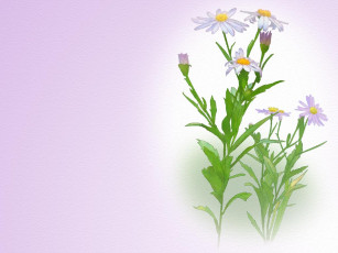 Картинка рисованные цветы