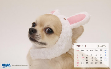 Картинка бренды inaba