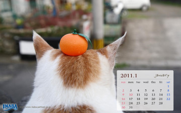 Картинка бренды inaba