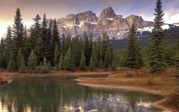 Картинка природа реки озера