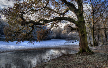 Картинка природа реки озера