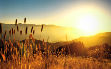 Картинка природа восходы закаты