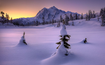 Картинка природа зима