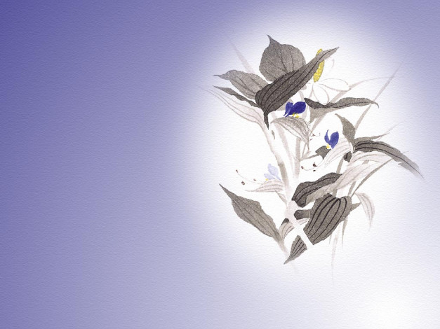 Обои картинки фото рисованные, цветы