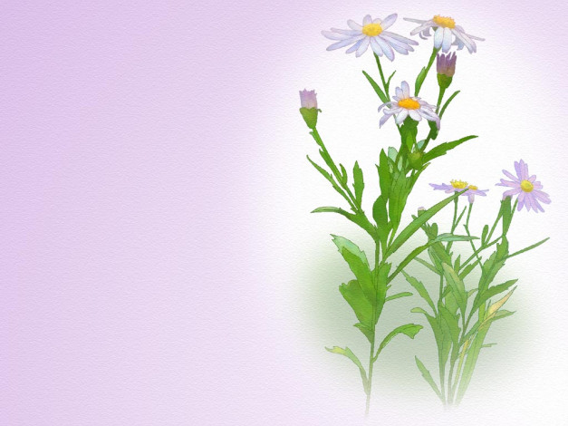 Обои картинки фото рисованные, цветы