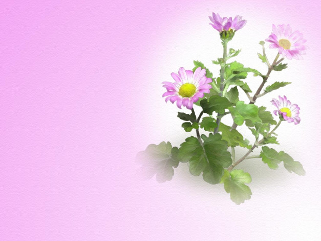 Обои картинки фото рисованные, цветы