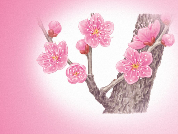 Обои картинки фото рисованные, цветы