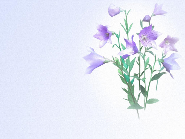 Обои картинки фото рисованные, цветы